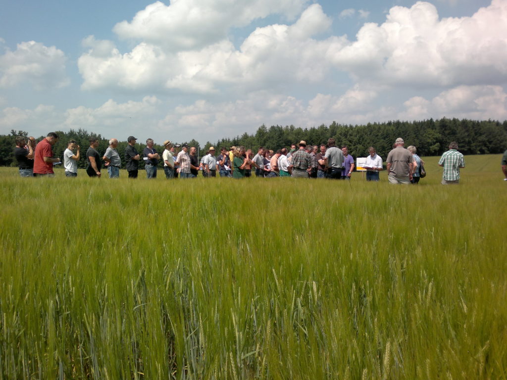 Braugerstentag in Gahlenz