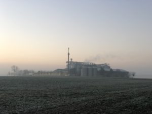 Wasserdampf aus dem Maistrockner