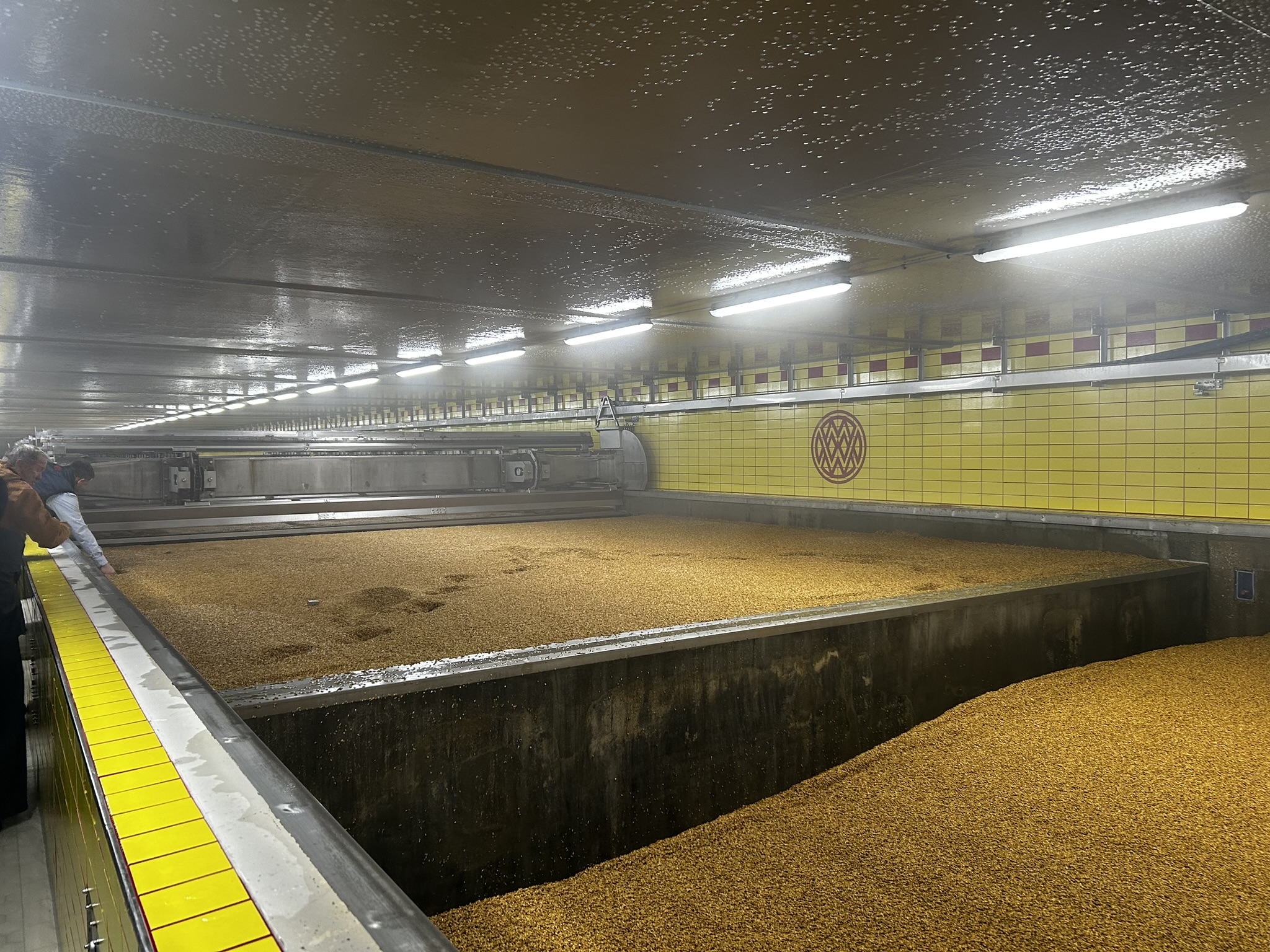 Wanderhaufenmälzerei in Clingen